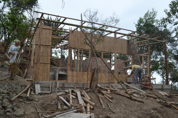 Cut bamboo walls going up